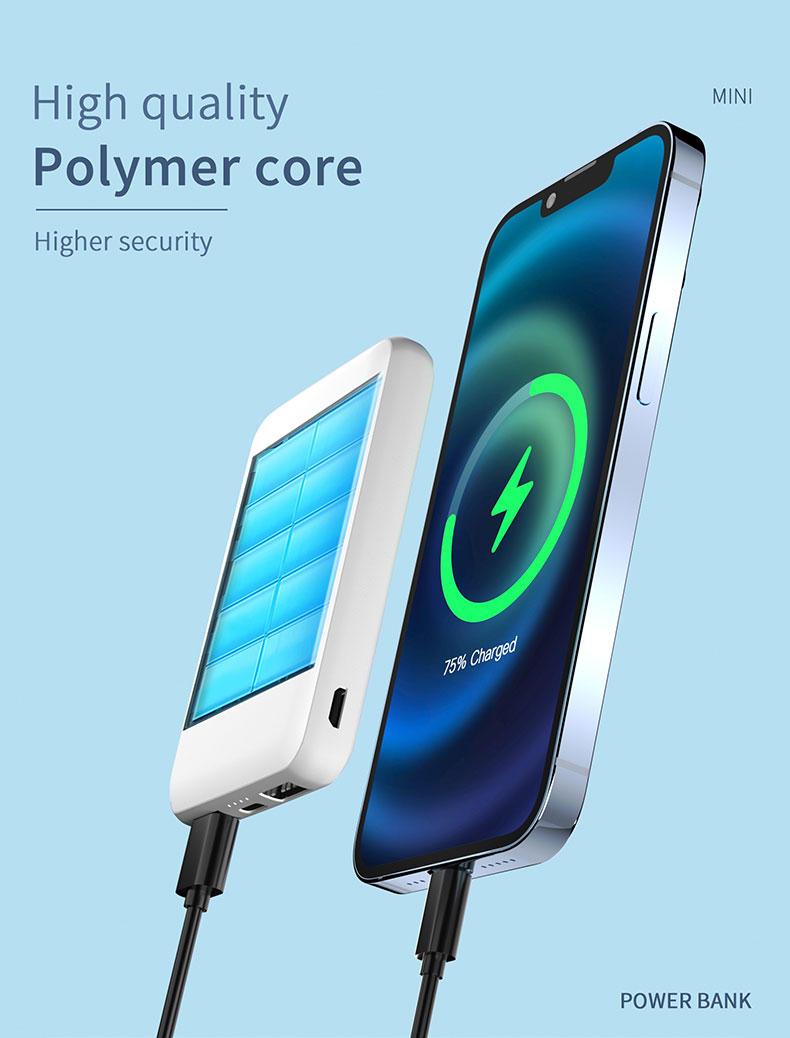 Custom Logo 10000mAh Portable 15W Wireless Charge Power Bank PD 22.5W Fast Charging with 3 Cables Powerbank